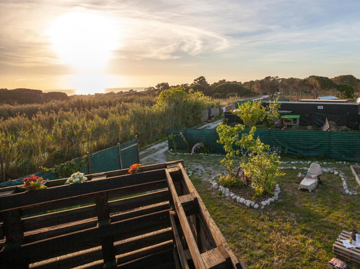 Shanti Farm Meco Сесимбра Екстериор снимка